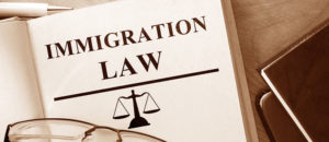 Best Immigration Attorney